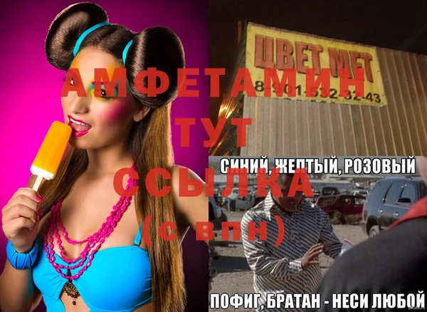 стаф Вязьма