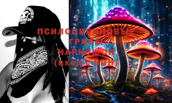 метадон Горняк