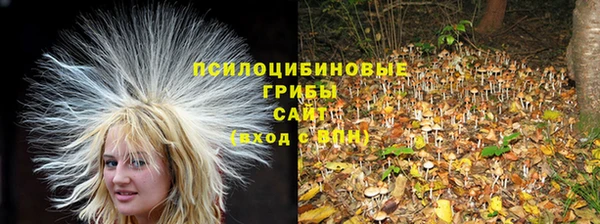 метадон Горняк