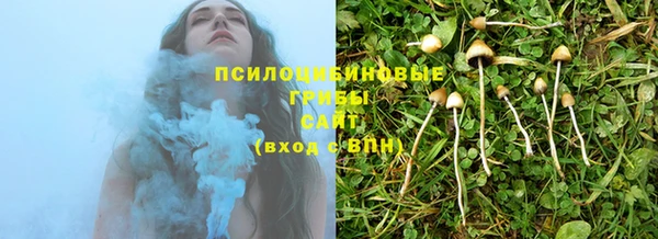 метадон Горняк