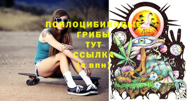 метадон Горняк